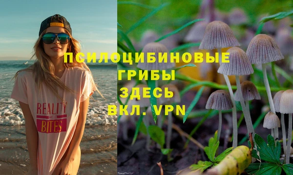молекула духа Белокуриха