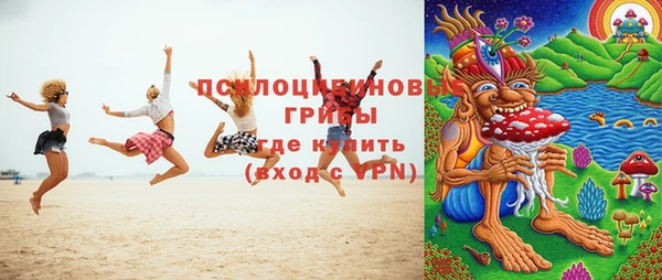 ECSTASY Богородицк