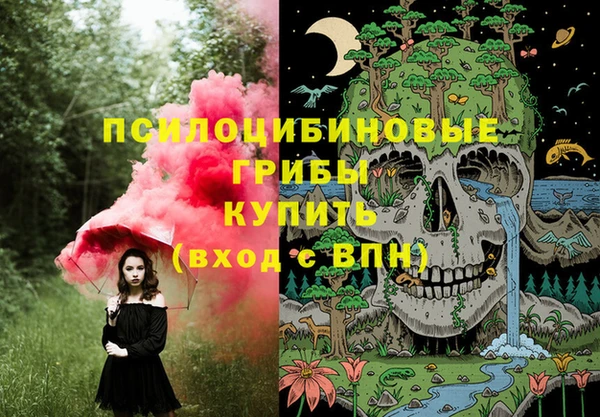 гашик Белоозёрский