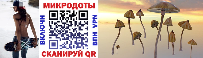 Галлюциногенные грибы Psilocybine cubensis  Купить закладки  Пикалёво 